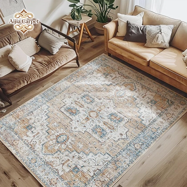 Fancy Rugs For Living Room